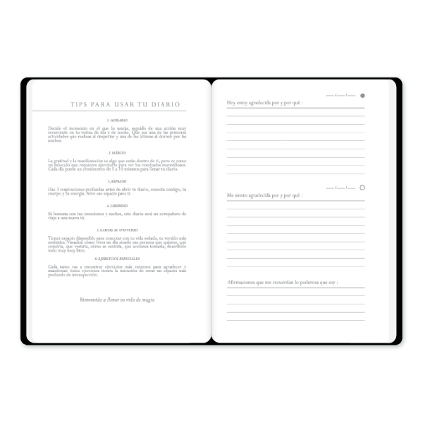 Diario gratitud – Beige
