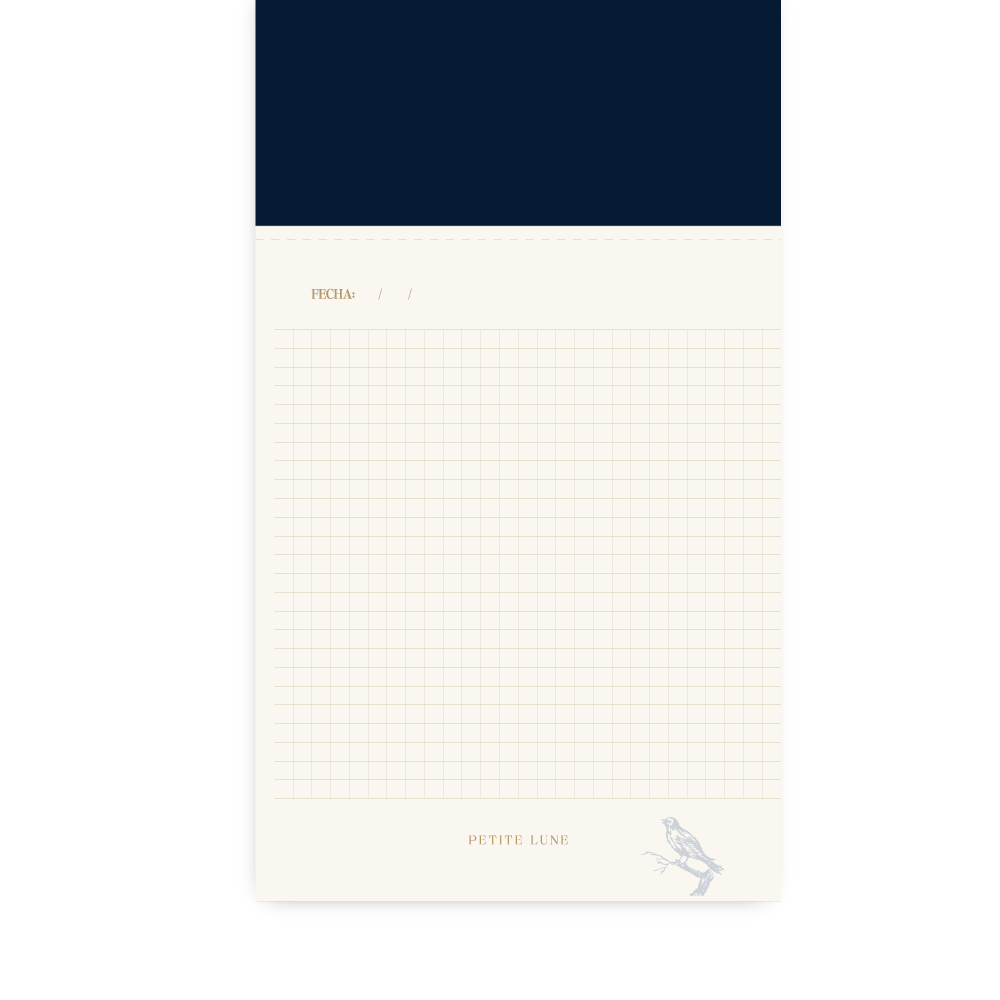 Permanecer – Notas y hojas para cartas